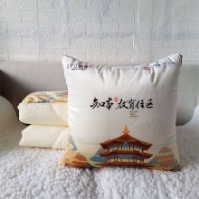 時尚天鵝絨抱枕被子房地產(chǎn)定 制廣告禮品抱枕家居兩用靠墊被