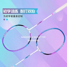 羽毛球對拍
